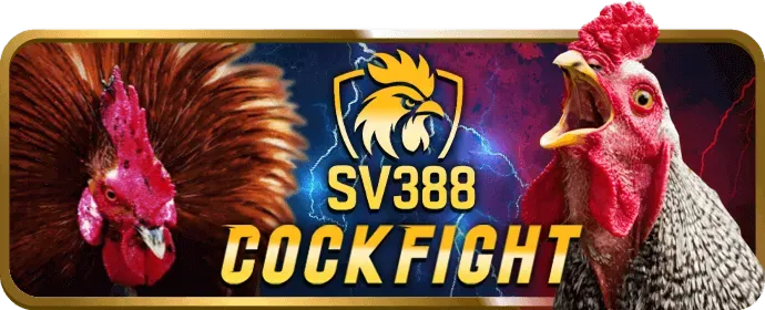 Cách cá cược an toàn F168